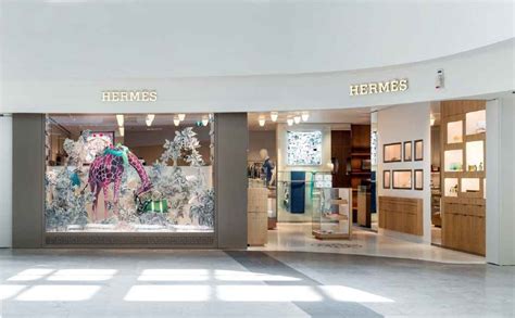 hermes nice france.